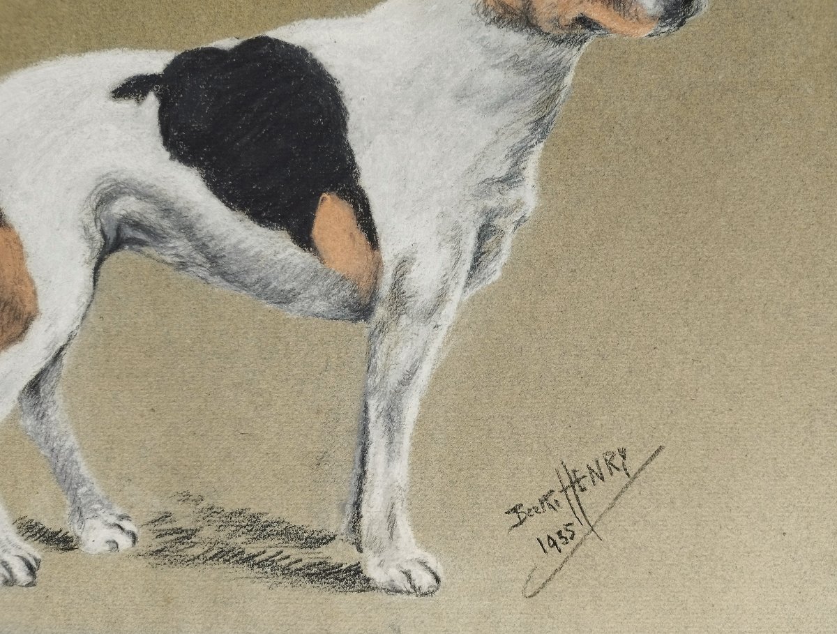 Jack Russell Terrier chien Pastel par Berthe Henry 20ème-photo-4