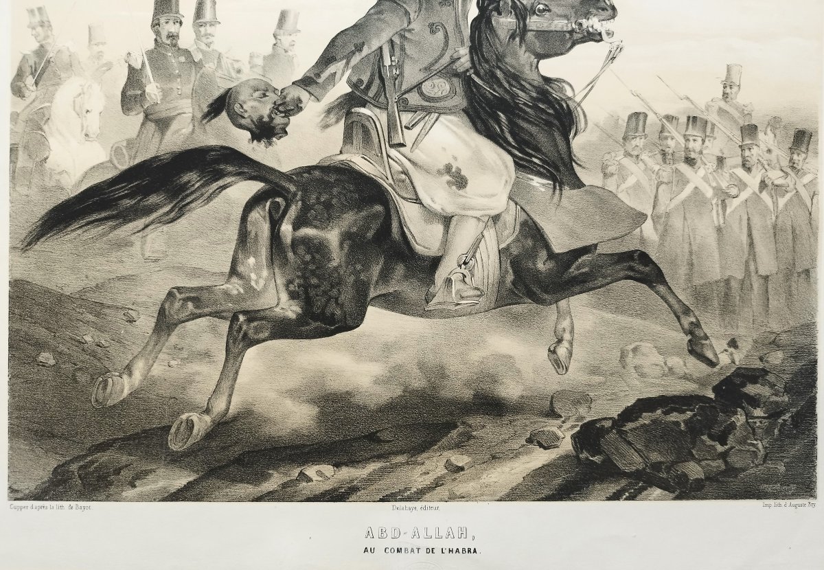 Cheval arabe Abd Allah au combat de l'Habra lithographie XIXème d'après Bayot-photo-4