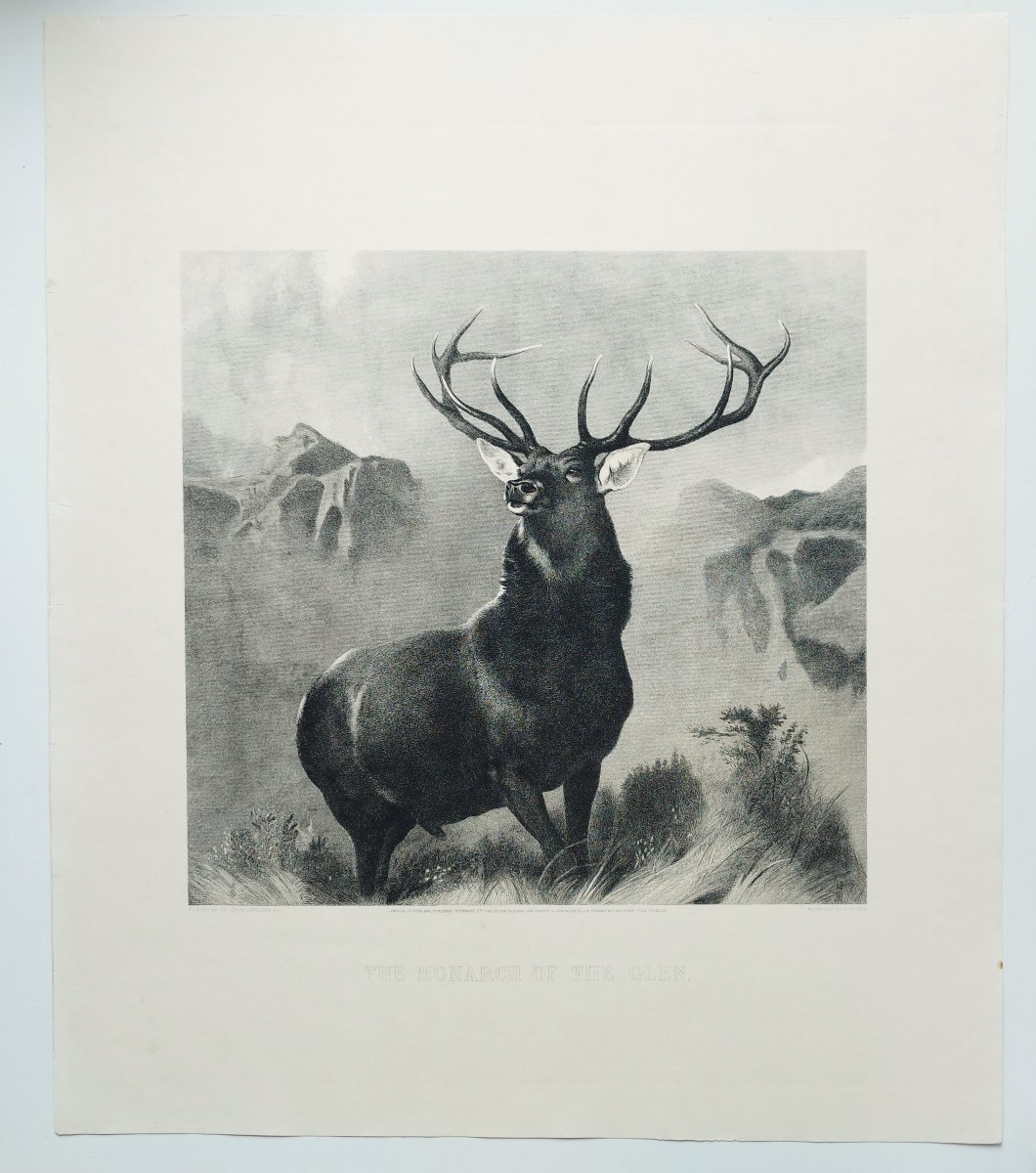 Etching The Monarch Of The Glen Large Engraving After Edwin Landseer 19th C Old Print-photo-2