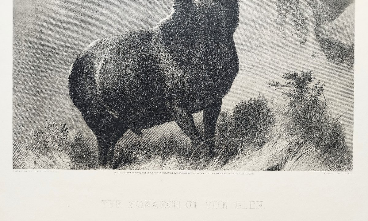 Etching The Monarch Of The Glen Large Engraving After Edwin Landseer 19th C Old Print-photo-4