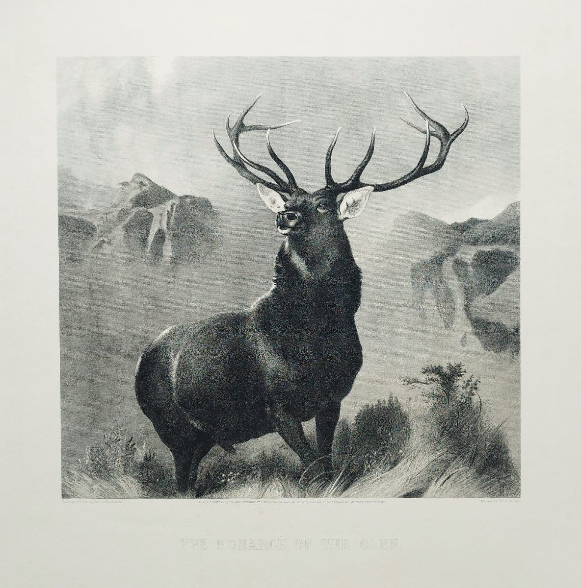 Etching The Monarch Of The Glen Large Engraving After Edwin Landseer 19th C Old Print