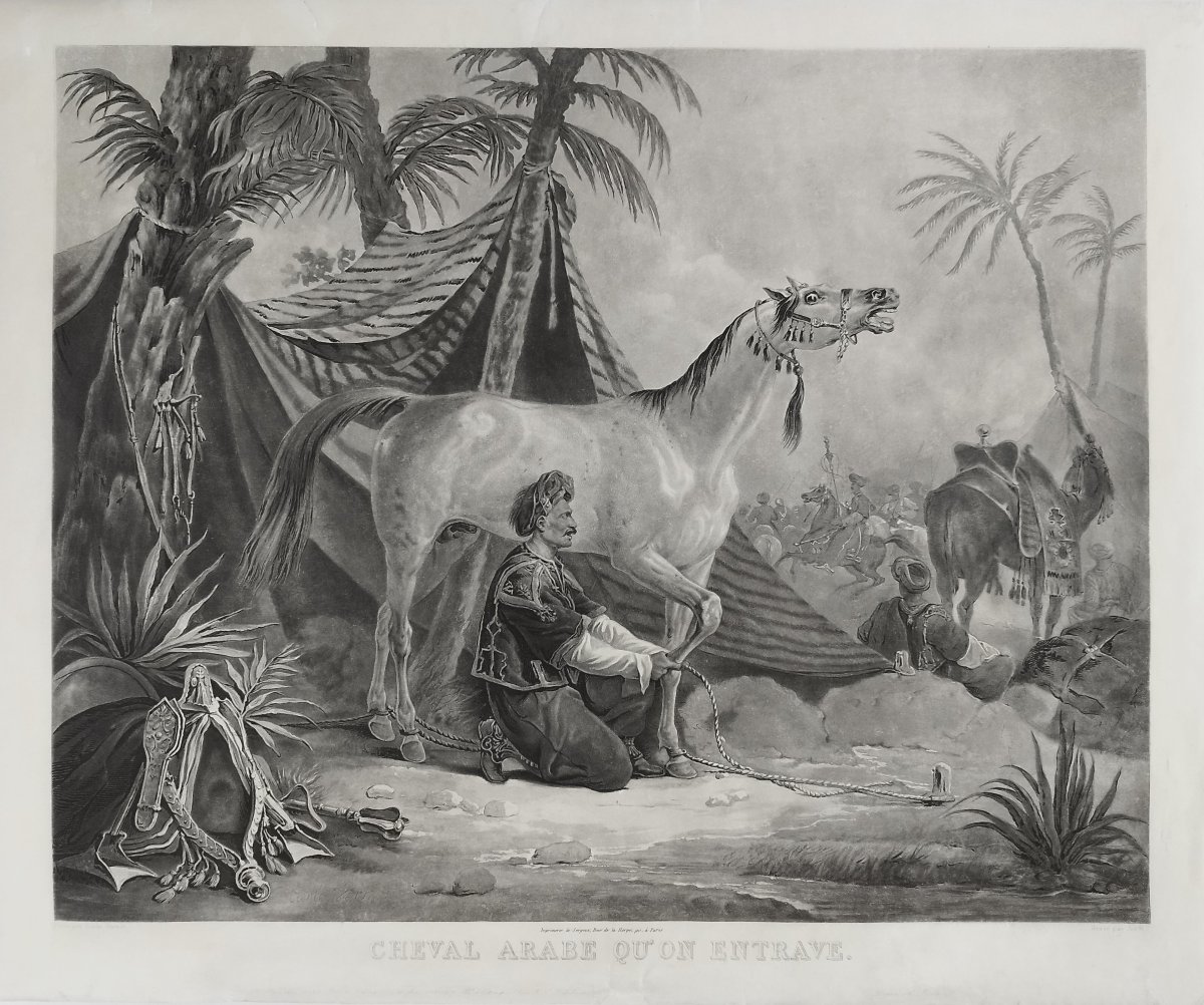 Cheval Arabe Gravure Orientaliste aquatinte d'Après Vernet 19ème-photo-3