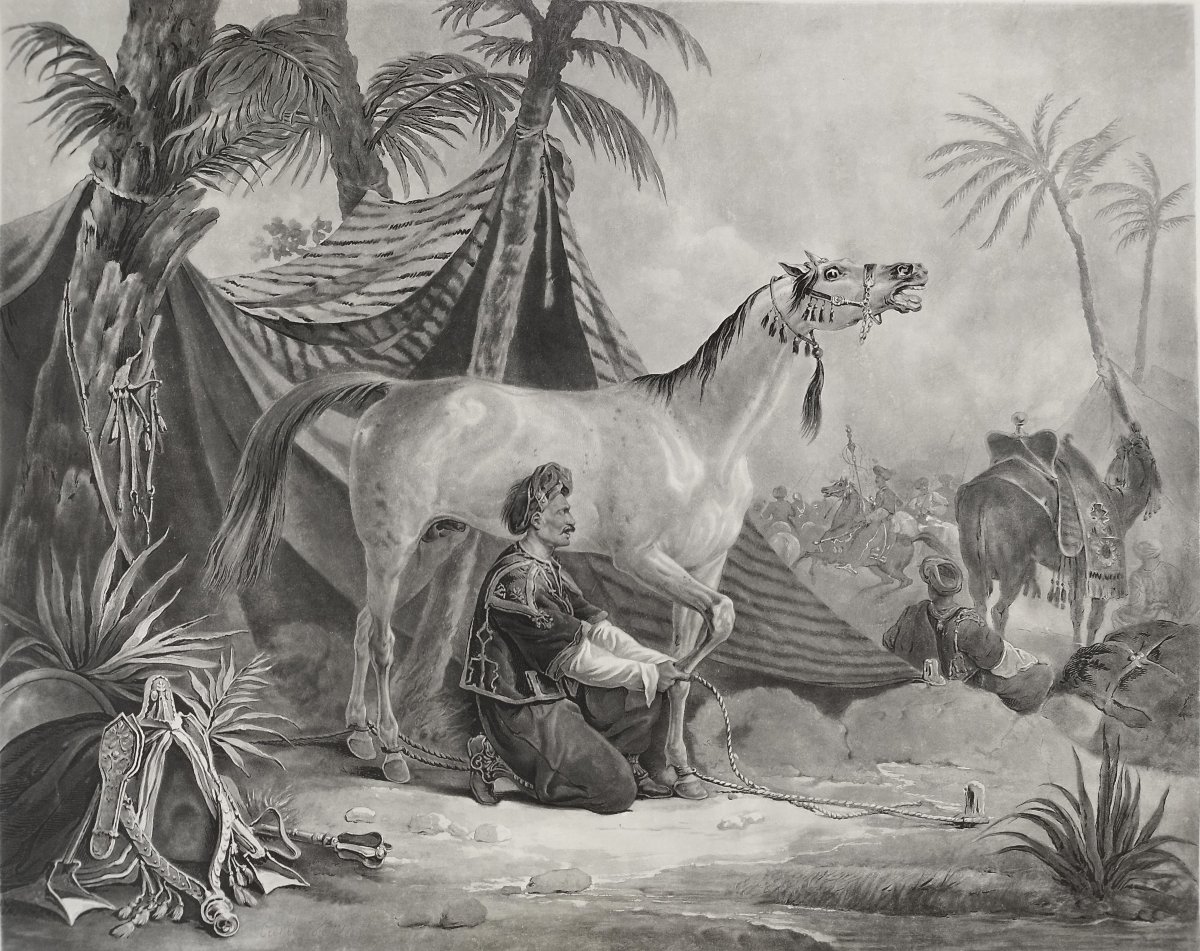 Cheval Arabe Gravure Orientaliste aquatinte d'Après Vernet 19ème-photo-4