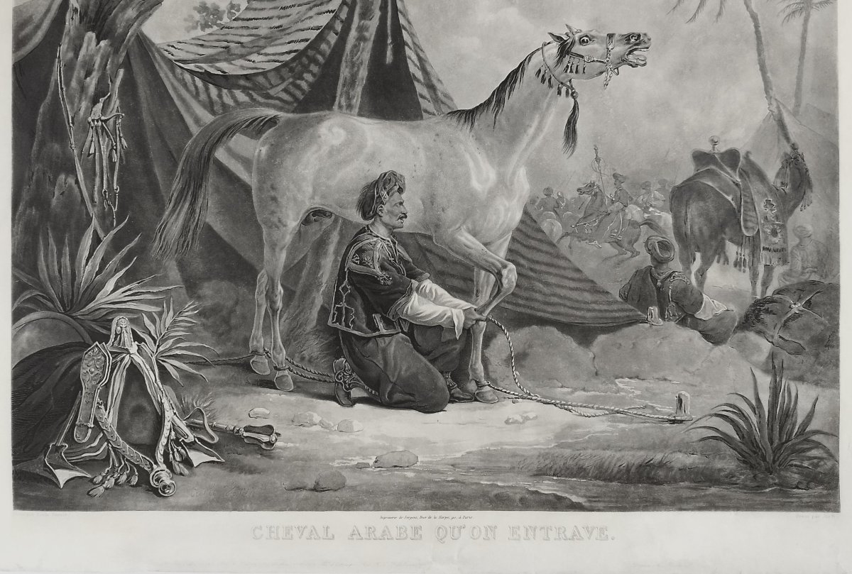 Cheval Arabe Gravure Orientaliste aquatinte d'Après Vernet 19ème-photo-1