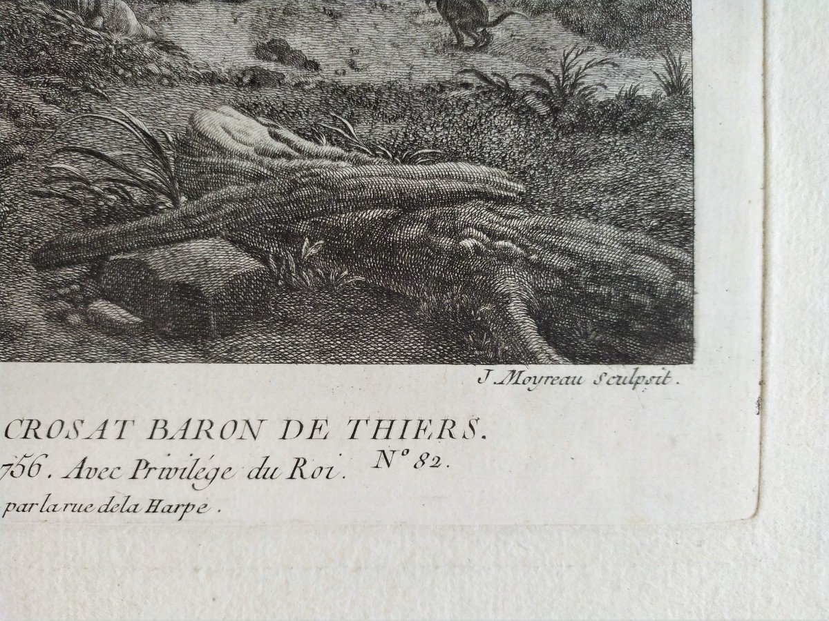 Horses Etching 18th C Engraving Old Print -photo-1
