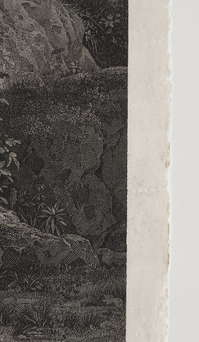 Gravure allégorique l'Innocence par Bervic d'après Leonor Mérimée XVIIIème-photo-5
