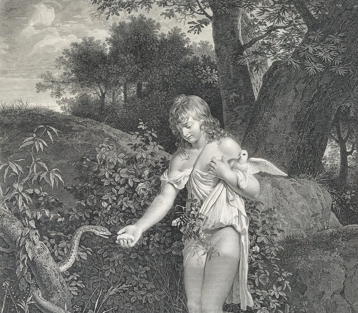 Gravure allégorique l'Innocence par Bervic d'après Leonor Mérimée XVIIIème-photo-6