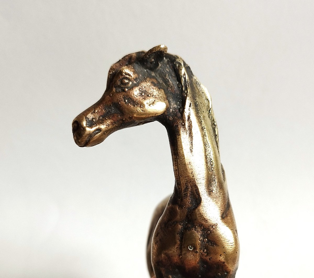 Arabian Horse  20th-century Bronze Statuette-photo-4