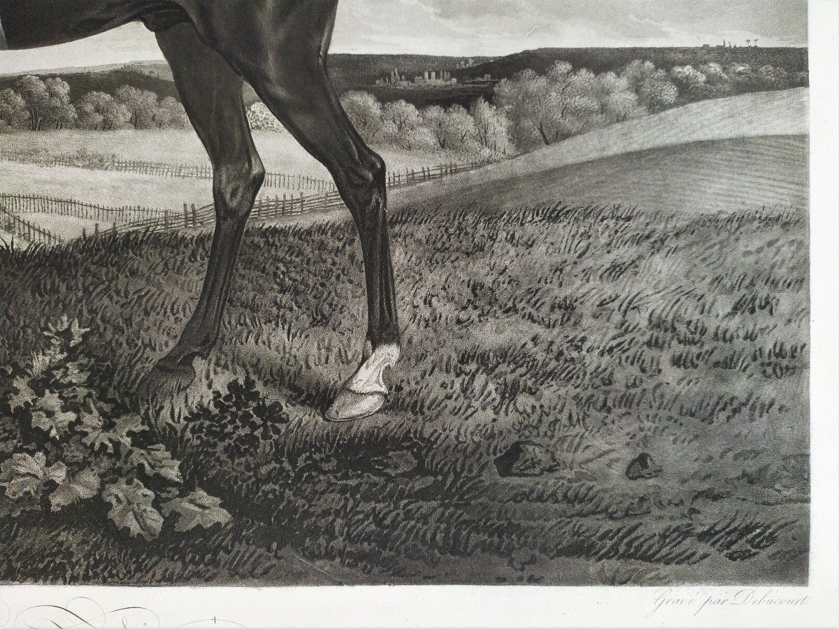 Hunting Arabian Horse Etching The Hunter By Pulling After Vernet-photo-2