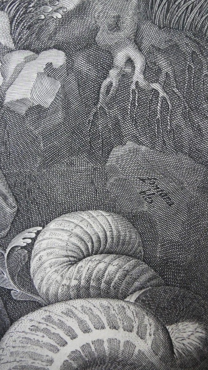 Gravure XVI Par Philippe Galle d'Après Raphael-photo-1