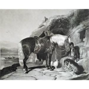  Pony And Spaniels Gravure Par Thomas Et Edwin  Landseer 