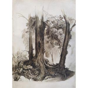 Study Of Trees By Schitz Jules Nicolas
