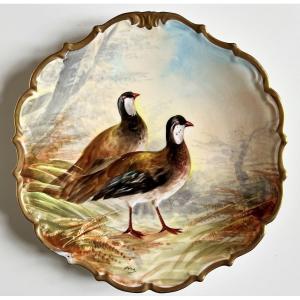 Plat En Porcelaine Peinte De Limoges  Décor d' oiseaux Signé