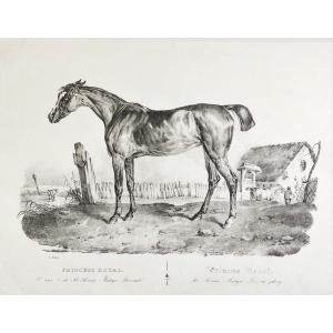 Cheval Lithographie Par victor Adam