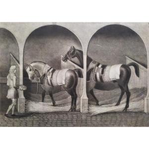 Horses Engraving Etching Print After James Seymour 18th C.