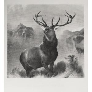 Etching The Stag The Monarch Of The Glen Engraving After Edwin Landseer Old Print