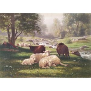 Paysage  Barbizon Les Moutons Gravure Aquarellée d'Après Auguste Bonheur