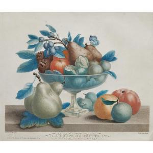 Watercolor Engraving The Fruit Bowl 19th