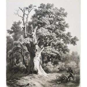 Lithograph The Tree 19th C Old Print 