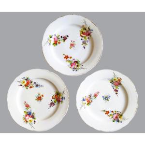Hand Painted Porcelain Plates From Paris Pillivuyt 19th Century