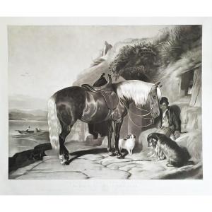 Gravure Par Thomas Et Edwin  Landseer Pony And Spaniels 19ème