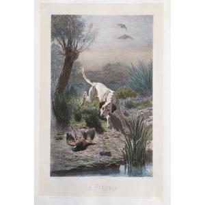 Hunting Dog Original Lithograph 19th C Old Print 