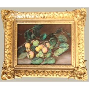 Marie Octavie Paigné Nature morte aux prunes pastel  19ème Ecole de Metz