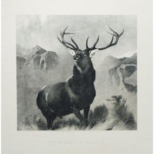 The Monarch of the Glen grande gravure d'après Edwin Landseer 19ème