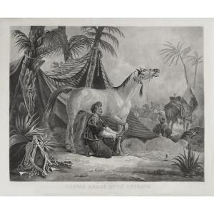 Cheval Arabe Gravure Orientaliste aquatinte d'Après Vernet 19ème