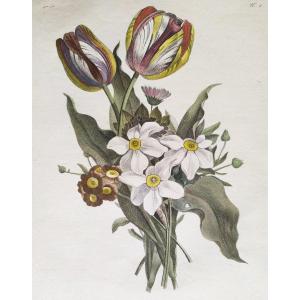 Gravure Aquarellée 18ème Fleurs