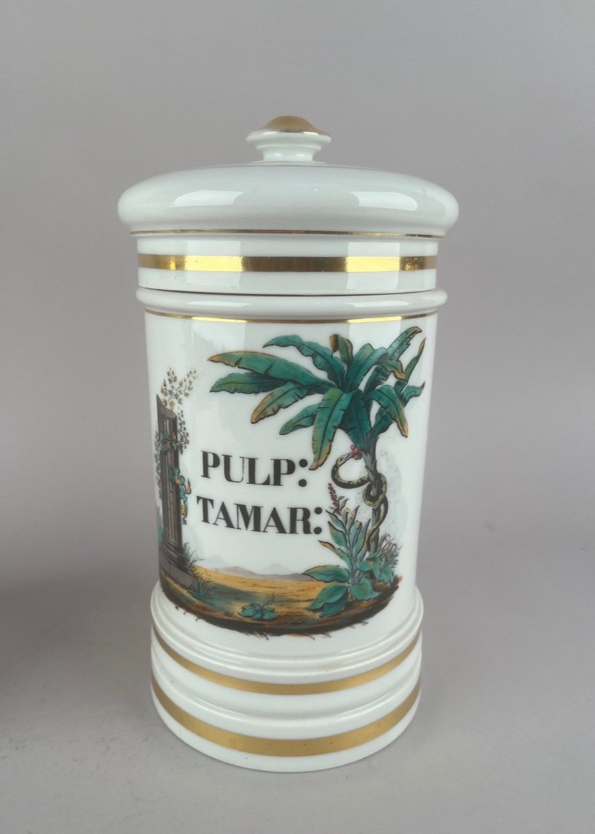 Two China Chemist Jars Paris Louis-philippe Period-photo-2