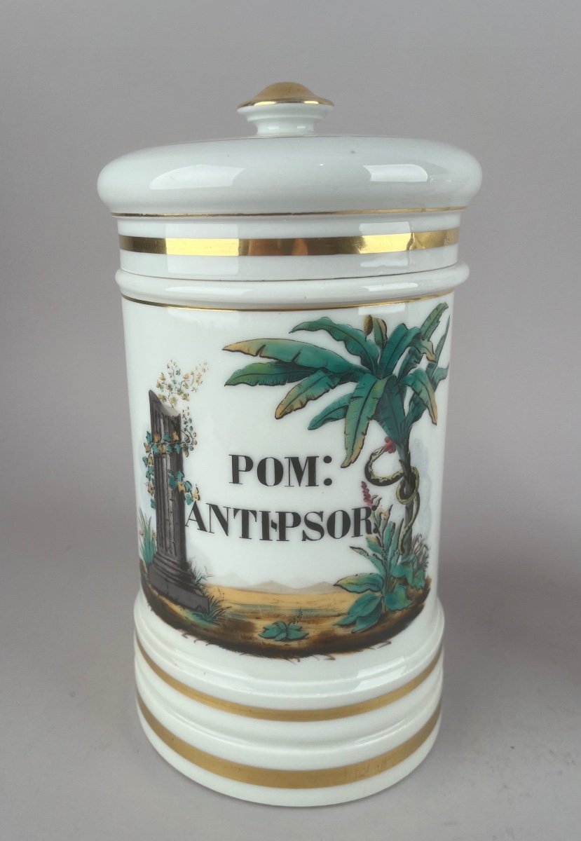 Two China Chemist Jars Paris Louis-philippe Period-photo-3