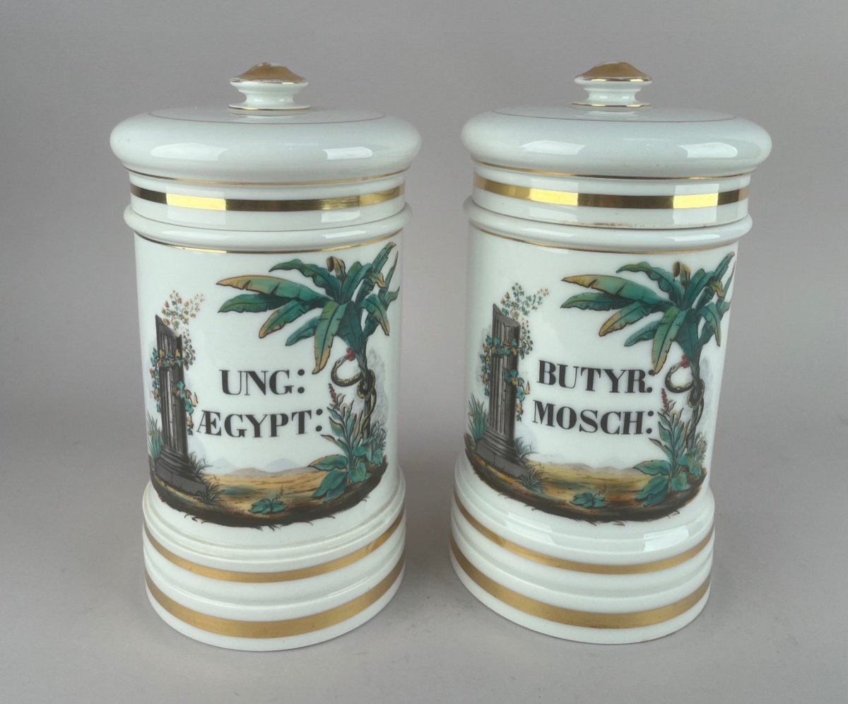 Deux Pots De Pharmacie En Porcelaine De Paris d'époque Louis-philippe