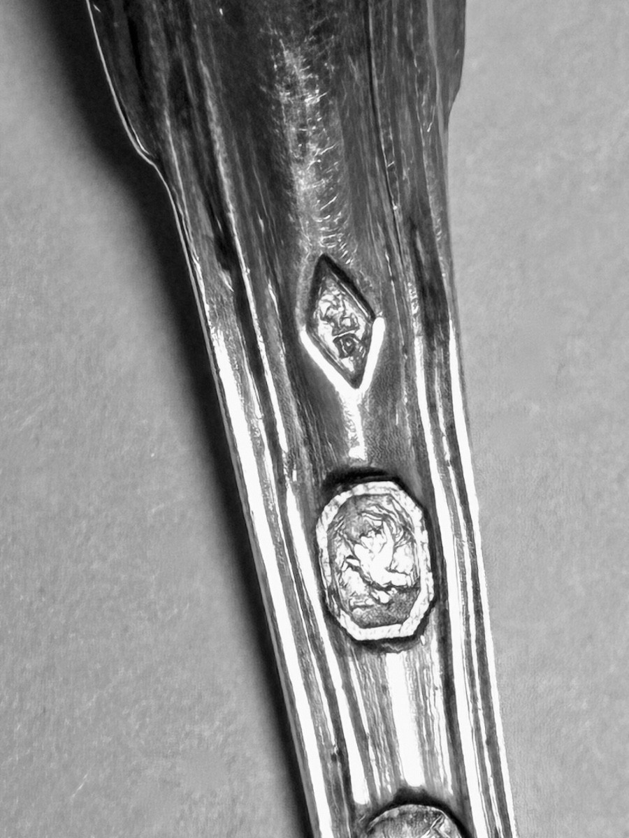 Paris 1798-1809. Cuiller à moutarde en argent -photo-1