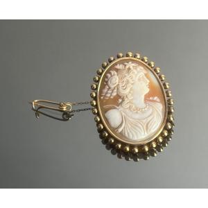 Shell And Late Gold Cameo Brooch From The 19th Century