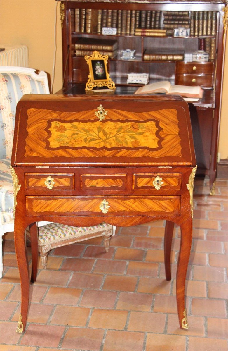 Louis XV Period Slope Desk-photo-4