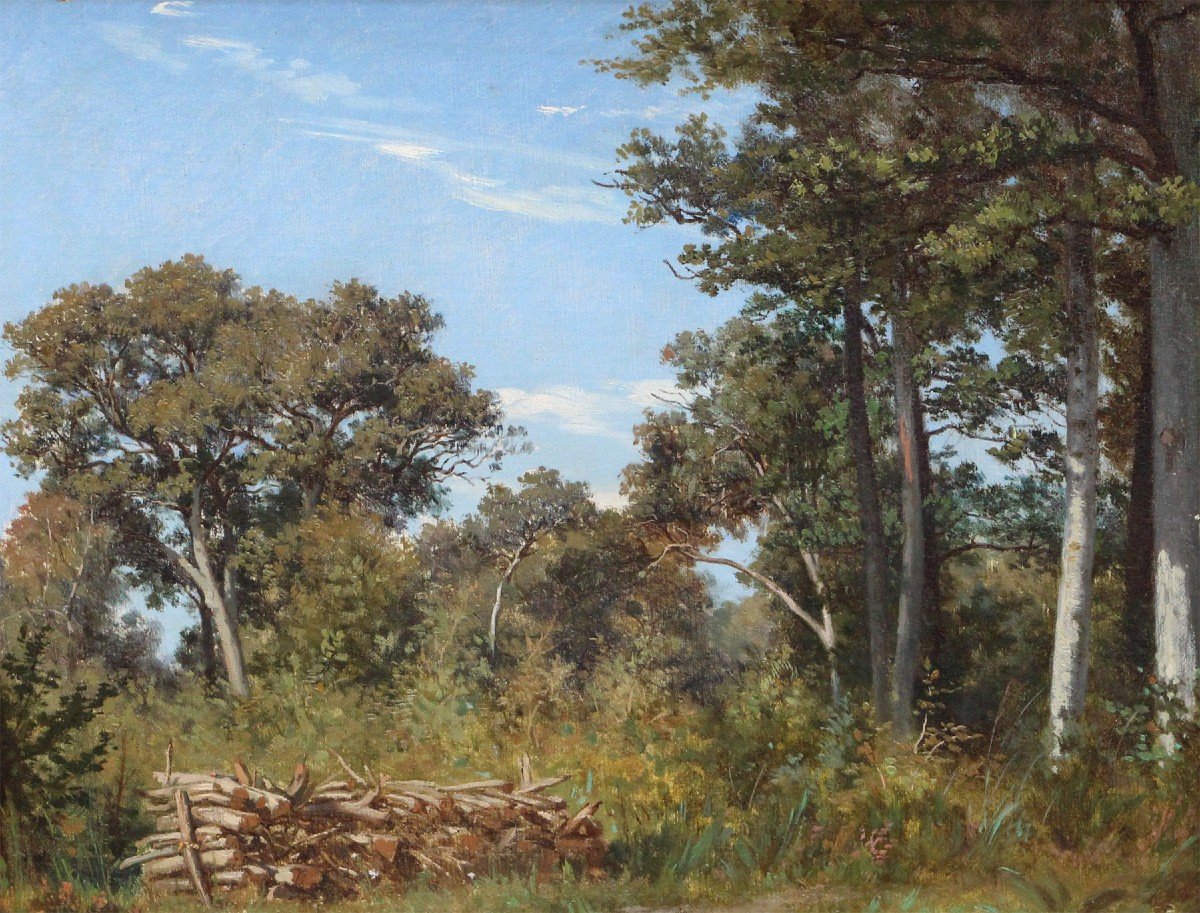 Ecole Française XIX Forêt De Fontainebleau 1848.