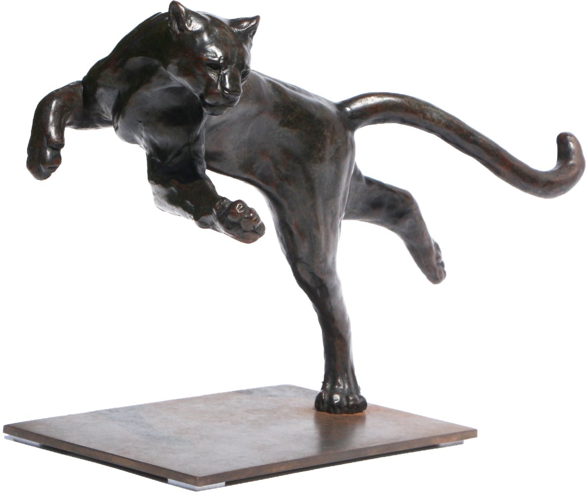 Matthieu Floranc   Puma  bronze signé et numéroté 
