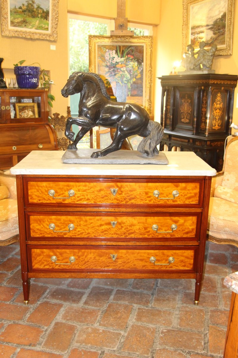 Commode d'époque Louis XVI en acajou et citronnier-photo-4