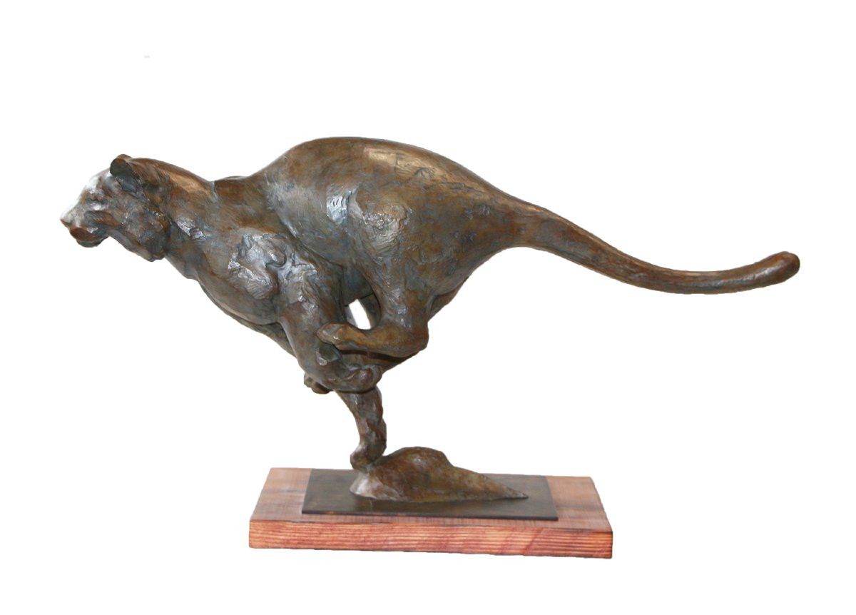 Jean-marc Bodin, Galloping Tiger-photo-2