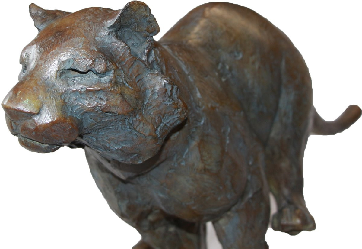 Jean-marc Bodin, Galloping Tiger-photo-3