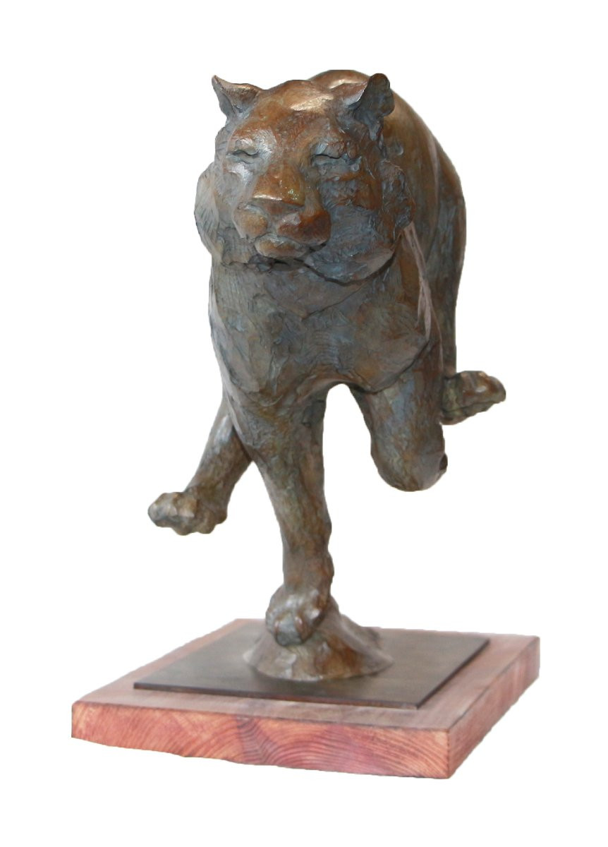 Jean-marc Bodin, Galloping Tiger-photo-4