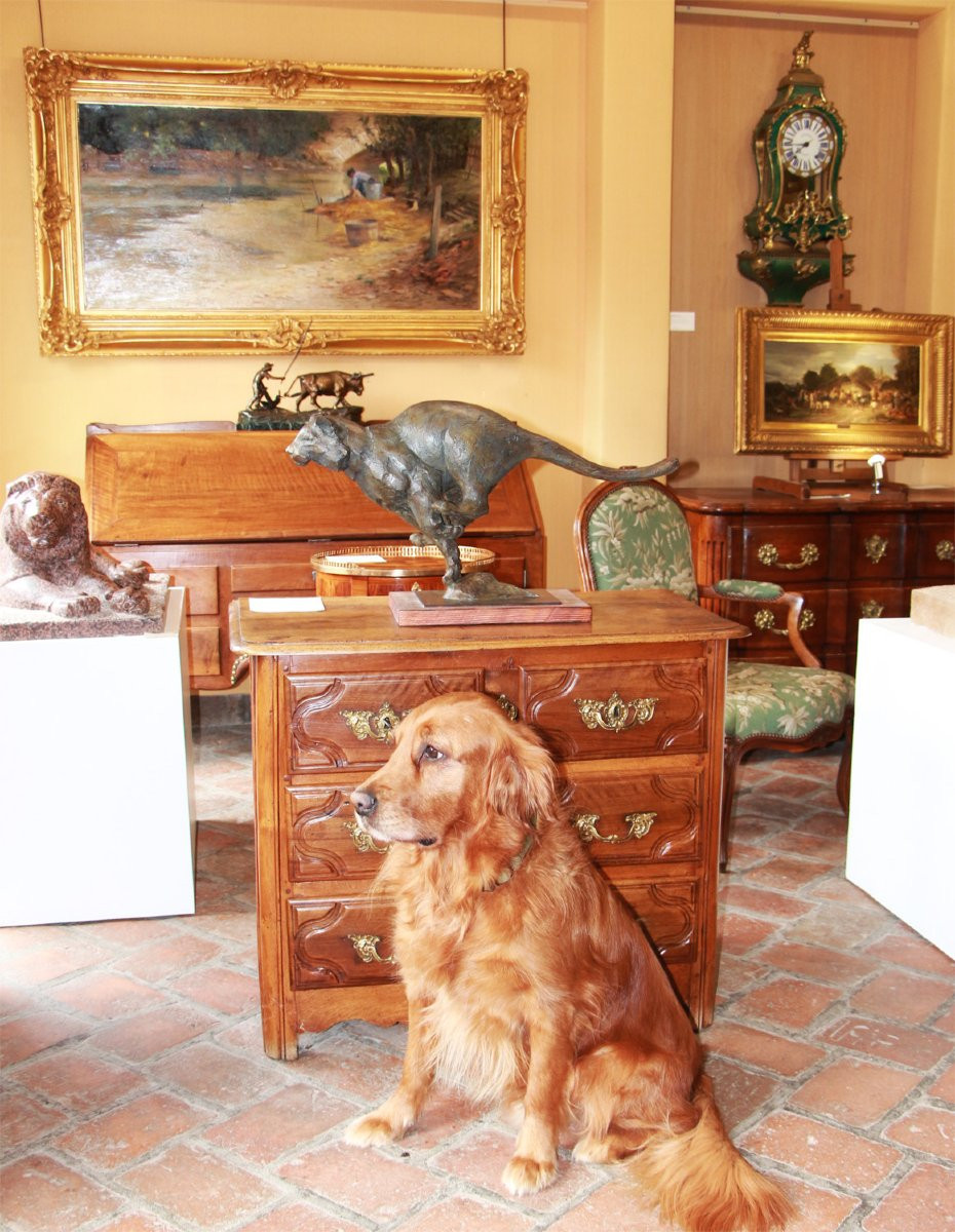 Jean-marc Bodin, Galloping Tiger-photo-1