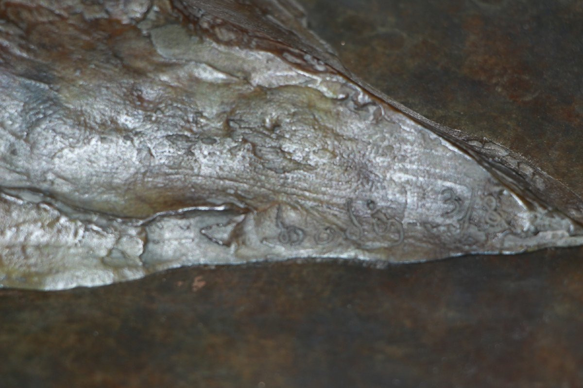 Jean-marc Bodin, Galloping Tiger-photo-2