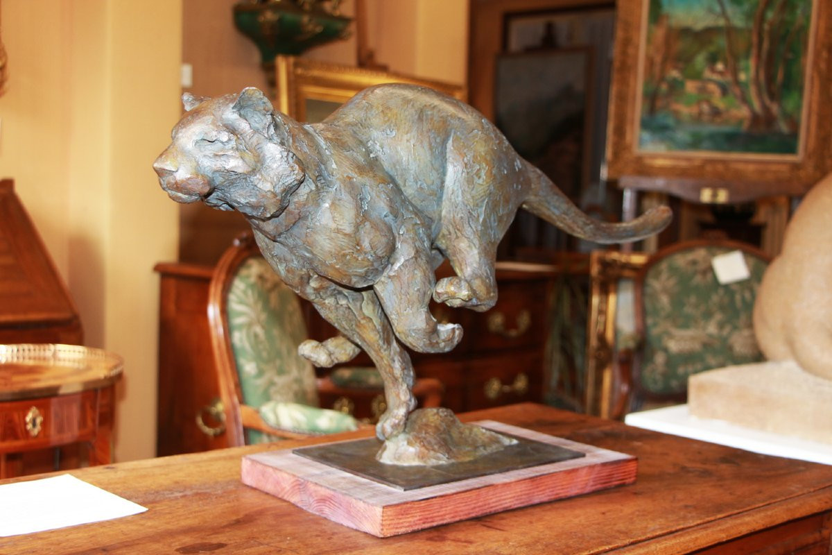 Jean-marc Bodin, Galloping Tiger-photo-3