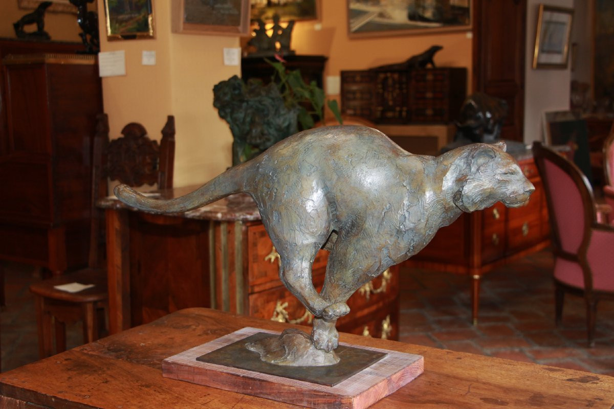 Jean-marc Bodin, Galloping Tiger-photo-4