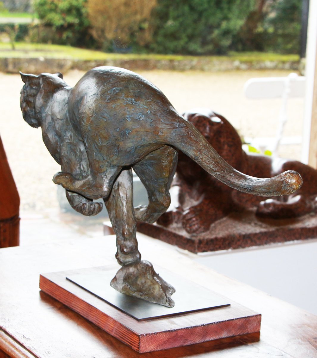 Jean-marc Bodin, Galloping Tiger-photo-5