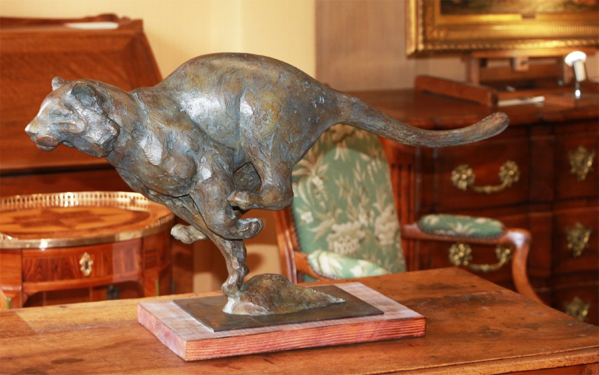 Jean-marc Bodin, Galloping Tiger-photo-6