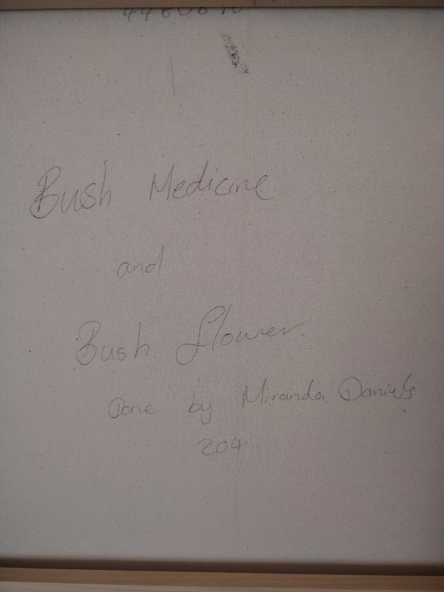 Miranda Daniels, Bush Medicine and Bush Flowers-photo-3