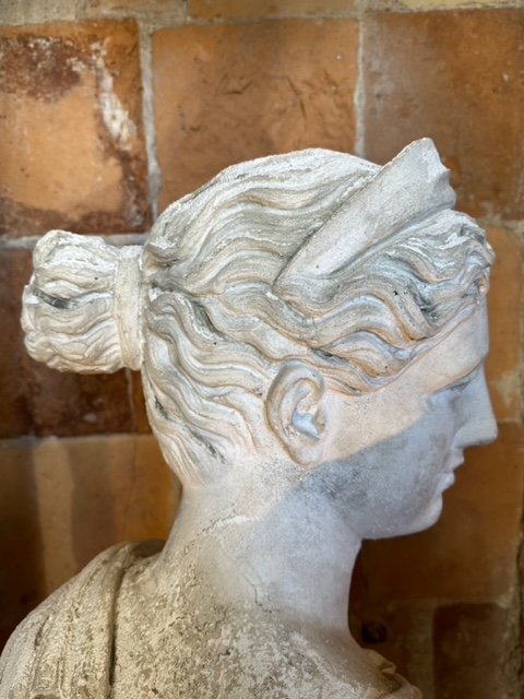Artemis-photo-3